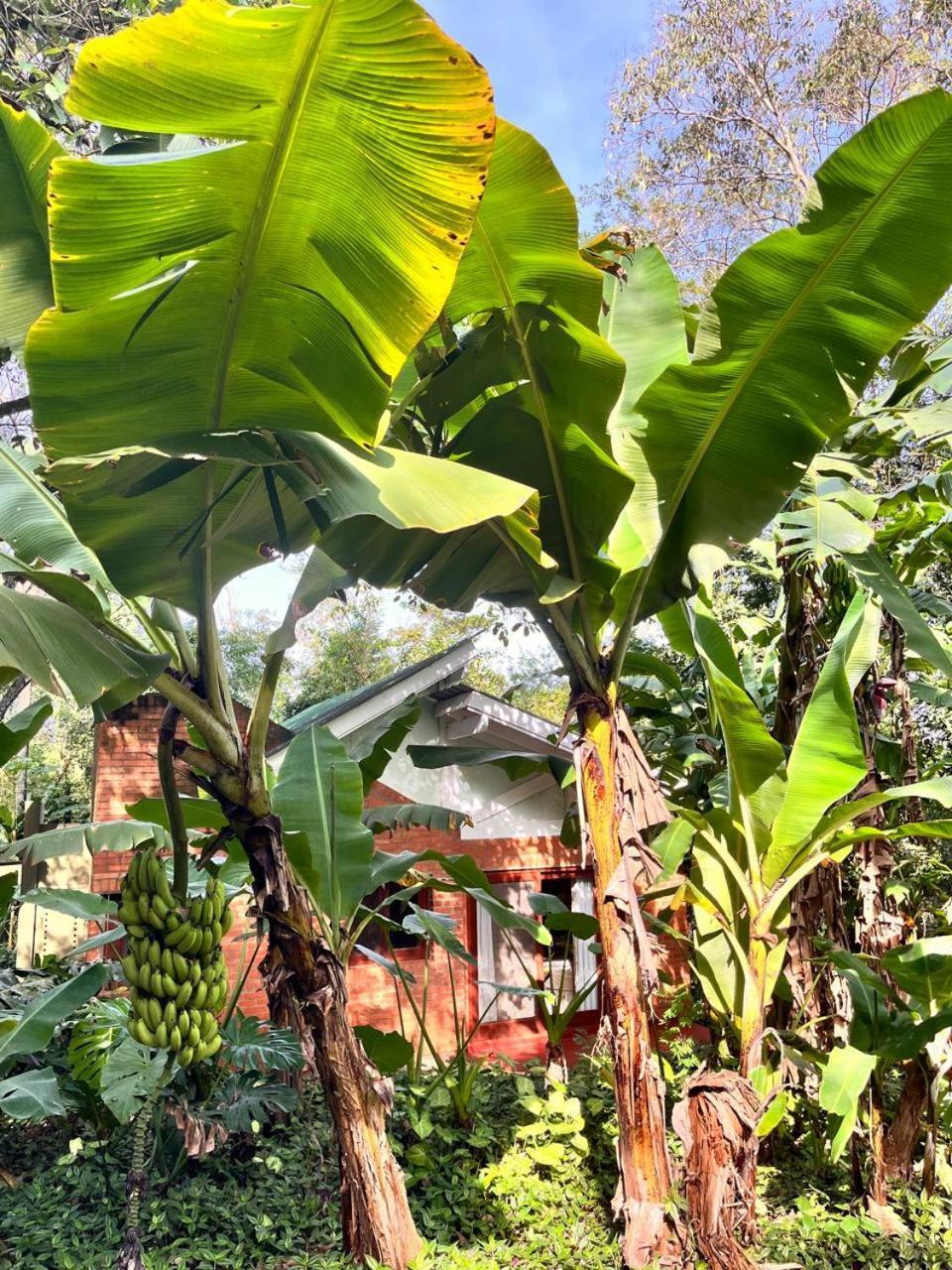 Raices Amambai Lodges Puerto Iguazú Exteriör bild
